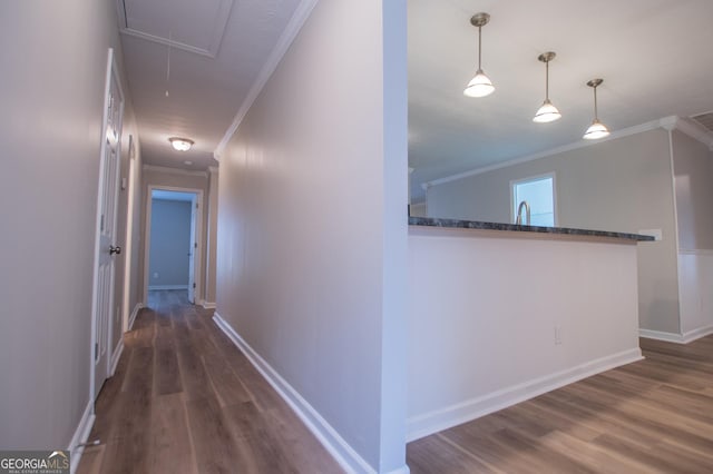 corridor featuring crown molding and dark hardwood / wood-style flooring