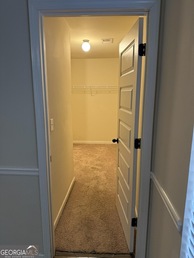 spacious closet featuring carpet