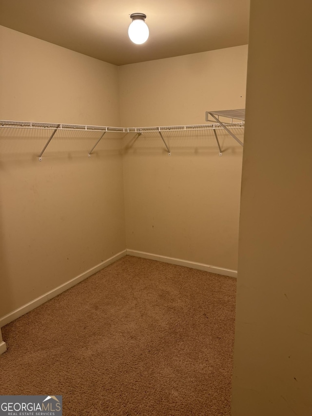 walk in closet with carpet