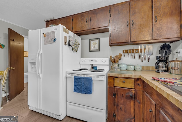 kitchen with light wood-type flooring, a textured ceiling, and white appliances