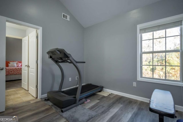 exercise room featuring hardwood / wood-style flooring, a wealth of natural light, and lofted ceiling