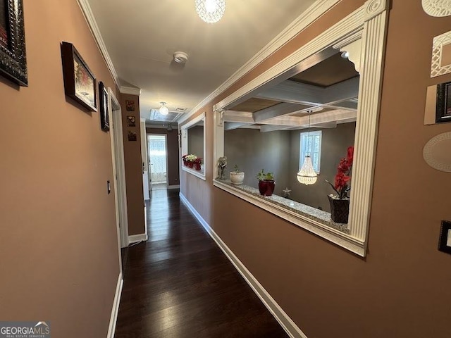 hall with crown molding, plenty of natural light, and dark wood-type flooring