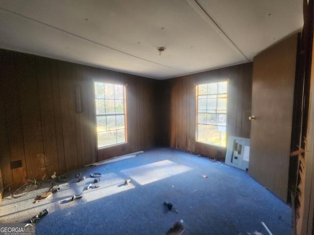 spare room featuring wooden walls