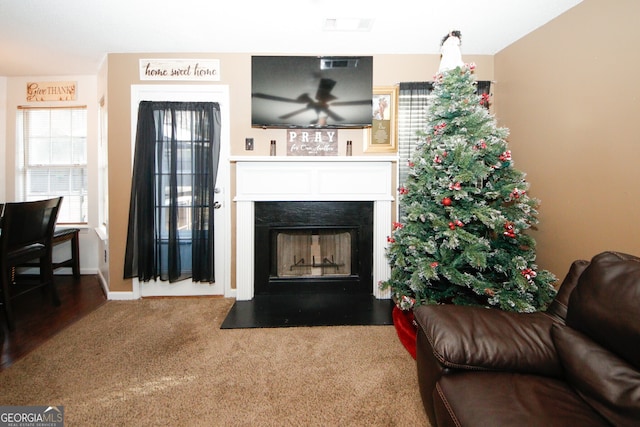 living room with carpet