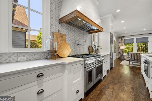 kitchen with premium range hood, white cabinets, dark hardwood / wood-style floors, ornamental molding, and stainless steel appliances