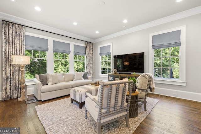 living room featuring crown molding and dark hardwood / wood-style floors