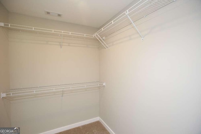 spacious closet with carpet flooring