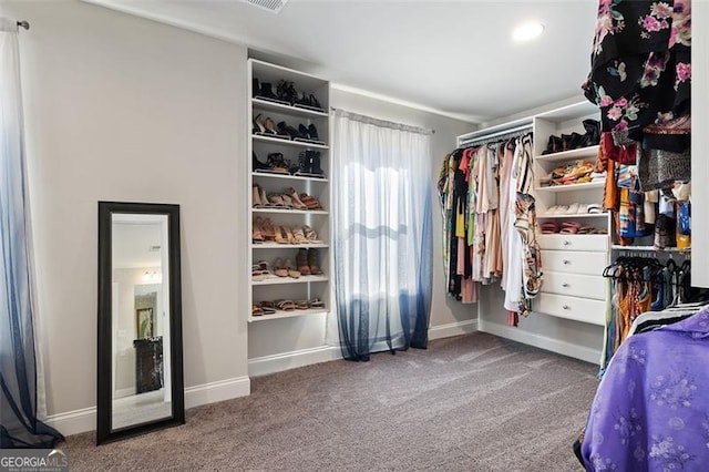 spacious closet featuring carpet