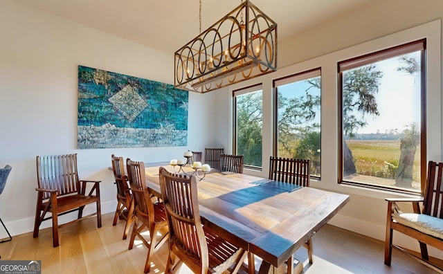 dining area featuring wood-type flooring