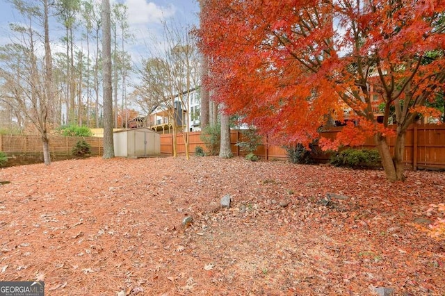 view of yard with a shed