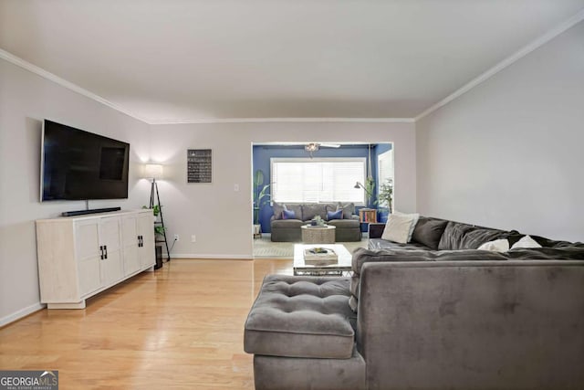 living room featuring light hardwood / wood-style floors and ornamental molding