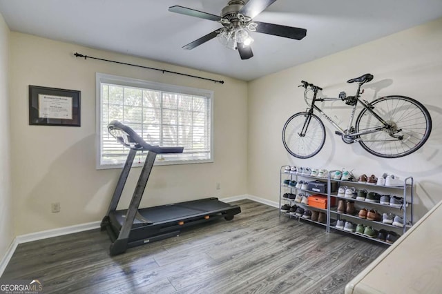 workout area with hardwood / wood-style flooring and ceiling fan