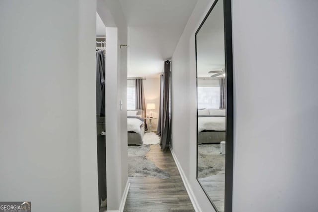 hall featuring plenty of natural light and wood-type flooring