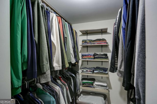 view of spacious closet