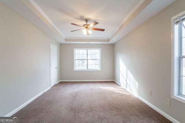 carpeted empty room featuring a healthy amount of sunlight, crown molding, and a tray ceiling