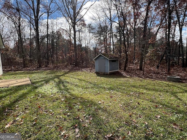 view of yard with a storage shed