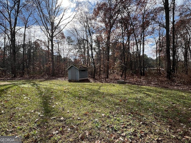 view of yard featuring a storage unit