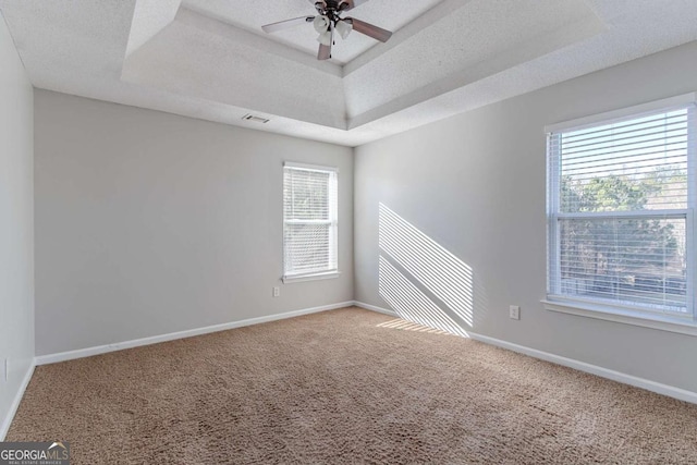 carpeted spare room with a raised ceiling, plenty of natural light, and a textured ceiling