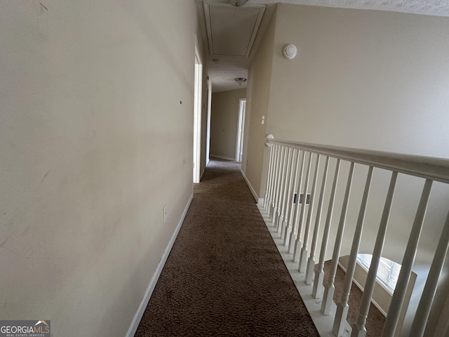 hallway with carpet floors