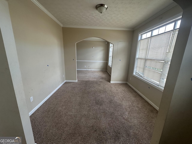 empty room with carpet, crown molding, and a textured ceiling