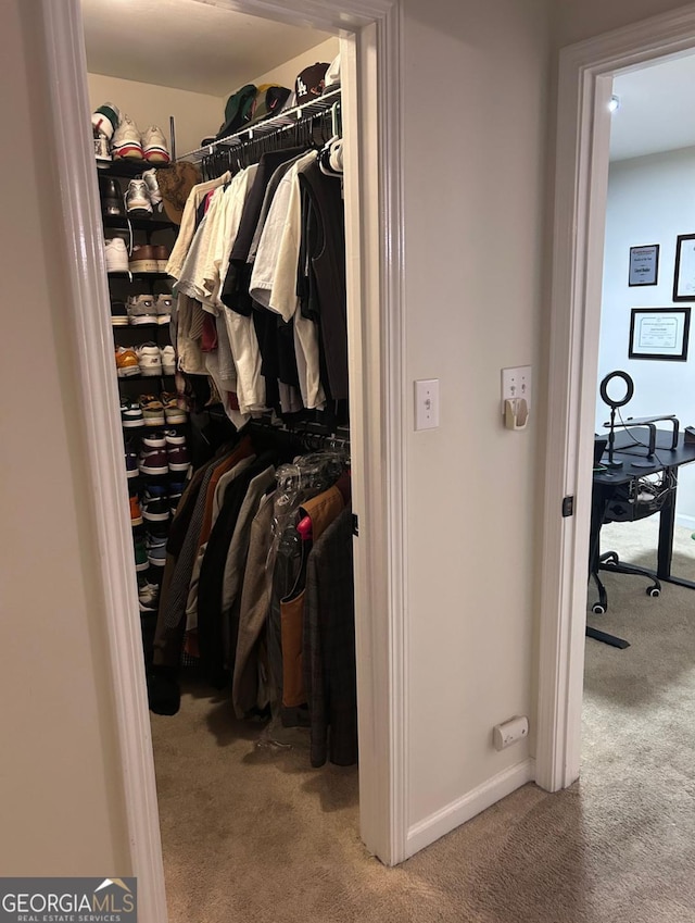 4248 River Green Dr NW Unit 312, Atlanta, GA 30327 - walk in closet with carpet