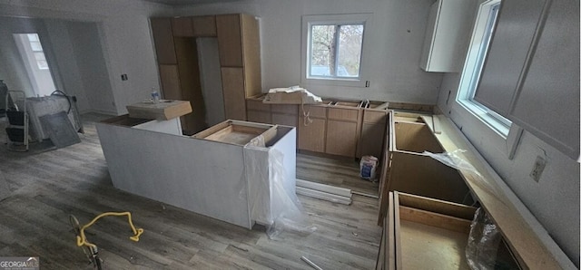 kitchen with light wood-type flooring