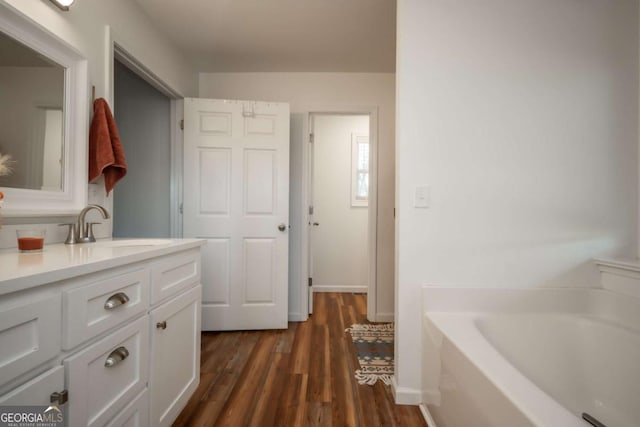 bathroom featuring a washtub, vanity, and wood-type flooring