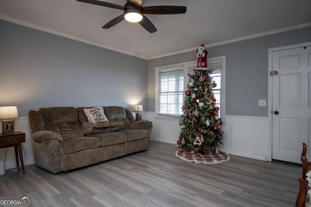 living room featuring ceiling fan, light wood-type flooring, and crown molding