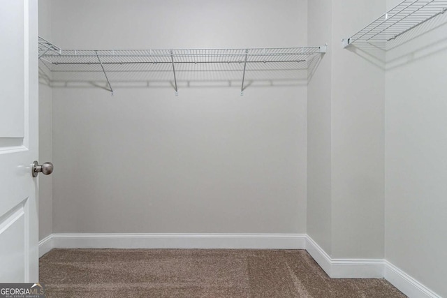 spacious closet with carpet flooring