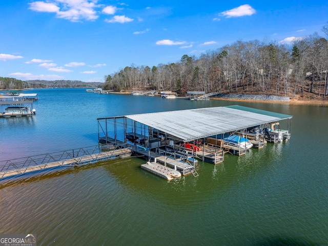 dock area with a water view