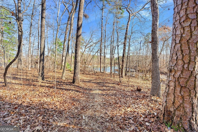 view of local wilderness with a water view