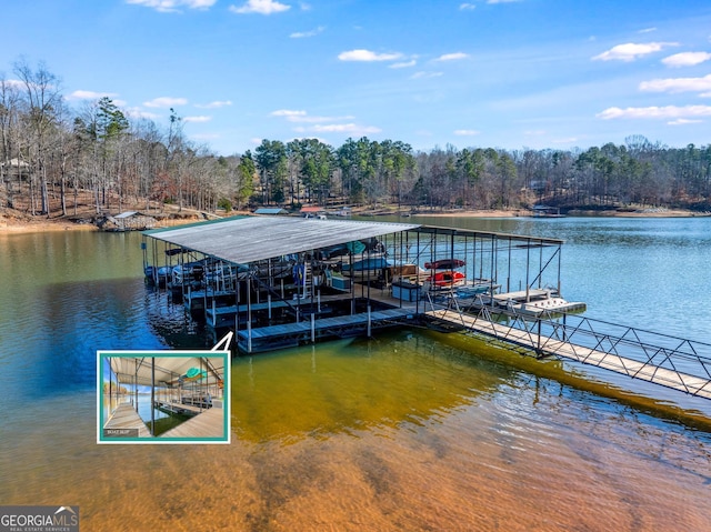 dock area with a water view