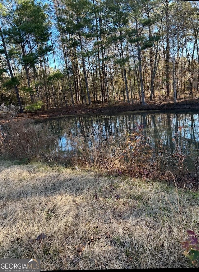 view of water feature