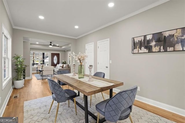 dining room featuring ceiling fan, light wood-type flooring, and ornamental molding