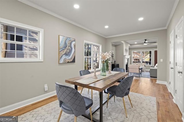 dining room with ceiling fan, light wood-type flooring, and crown molding