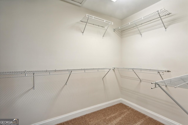 spacious closet with carpet