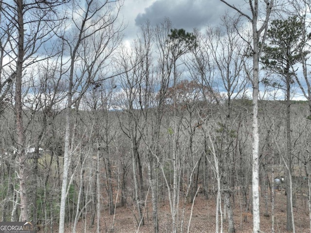 view of nature with a forest view