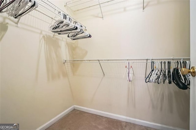 walk in closet featuring carpet