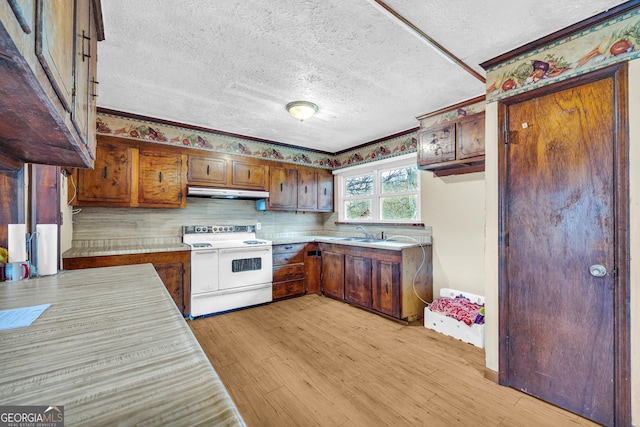 kitchen with sink, light hardwood / wood-style flooring, backsplash, a textured ceiling, and electric stove