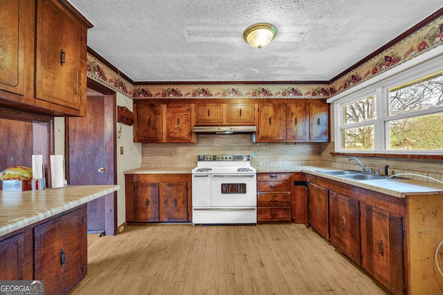 kitchen with light wood-type flooring, ornamental molding, a textured ceiling, sink, and white electric range