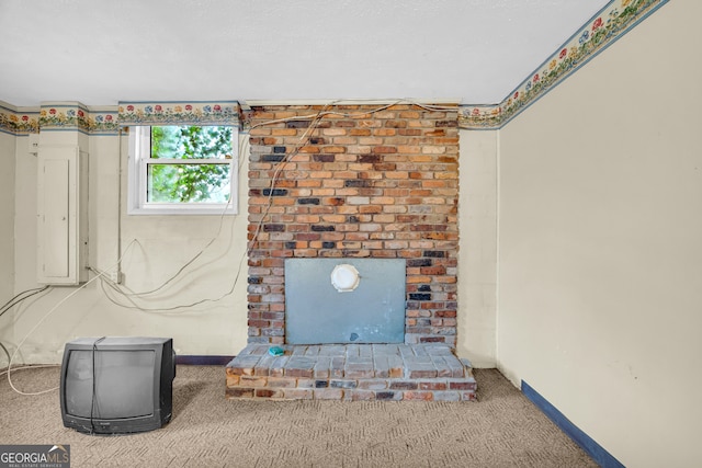 interior space featuring carpet flooring and electric panel