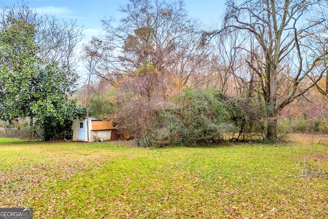 view of yard featuring a storage shed