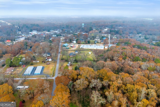 drone / aerial view