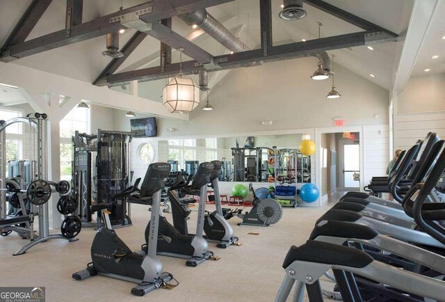 exercise room featuring carpet and high vaulted ceiling