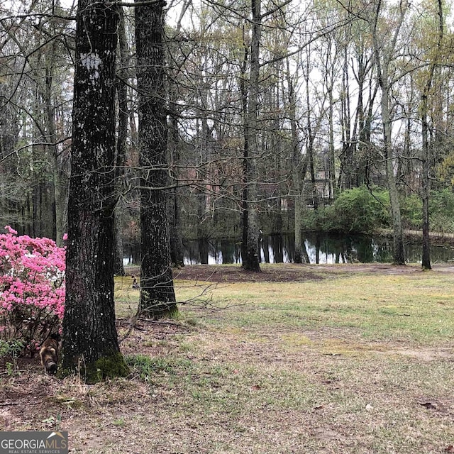 view of yard with a water view