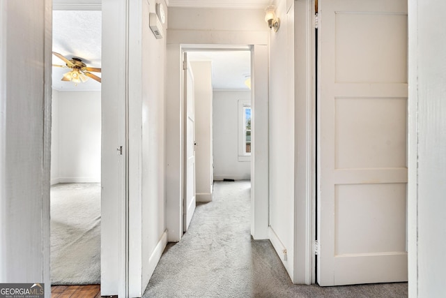 hall with carpet and ornamental molding