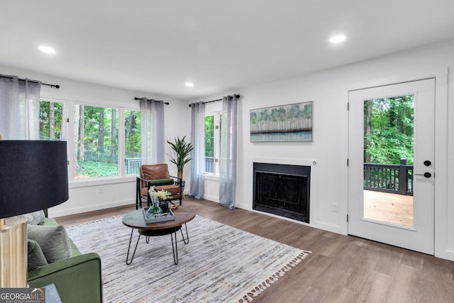 living room featuring light hardwood / wood-style flooring