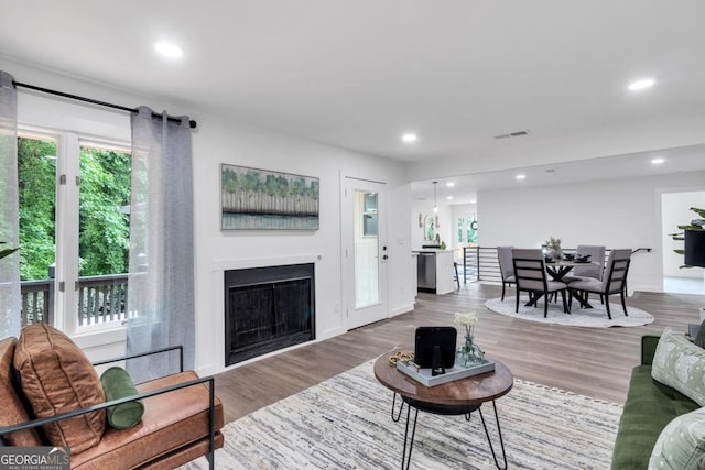 living room featuring hardwood / wood-style floors