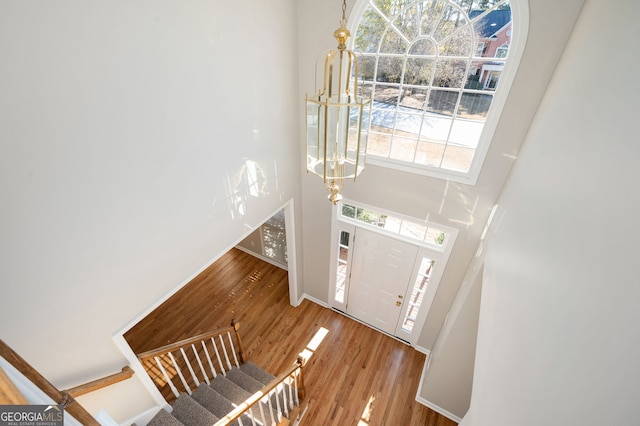 foyer featuring hardwood / wood-style flooring, a healthy amount of sunlight, and a towering ceiling