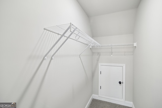 walk in closet with carpet flooring